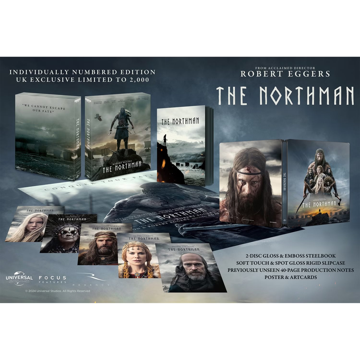 Édition collector 4K Blu-ray Steelbook de The Northman