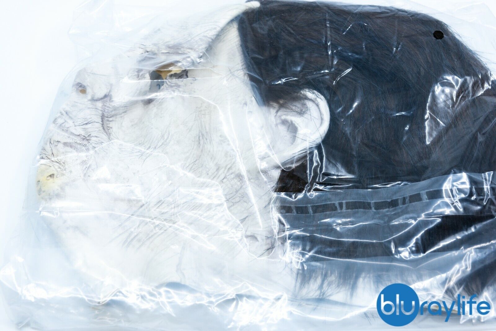 Halloween - Cinemusem CMA n° 10 - Blu-ray Steelbook One Click - Édition limitée à 200 exemplaires